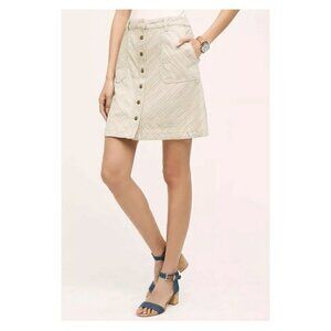 Anthro Pilcro and Letterpress Striped Skirt